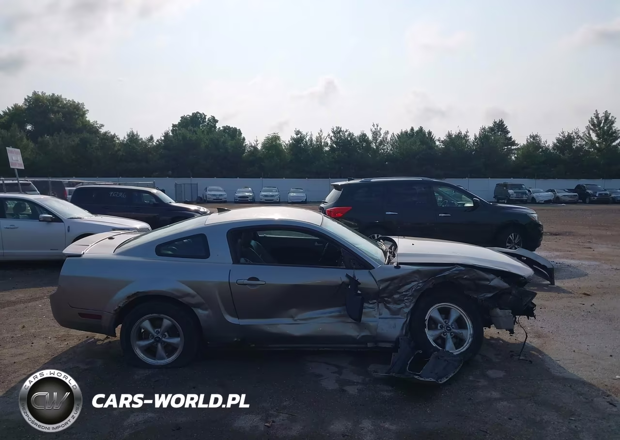 2008 Ford Mustang V6 Deluxe-V6 Premium VIN:1ZVHT80N885120628 - 14