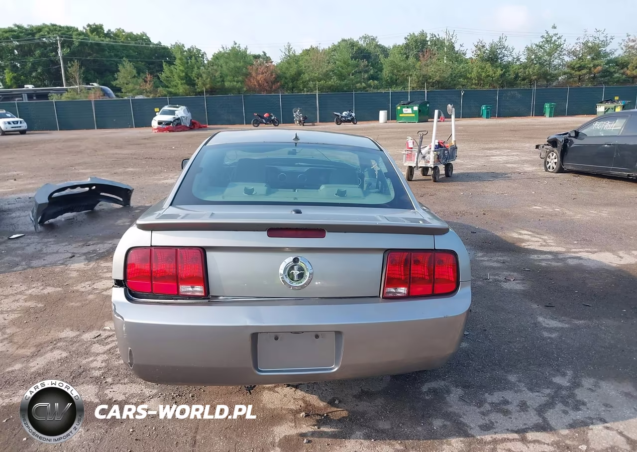 2008 Ford Mustang V6 Deluxe-V6 Premium VIN:1ZVHT80N885120628 - 17