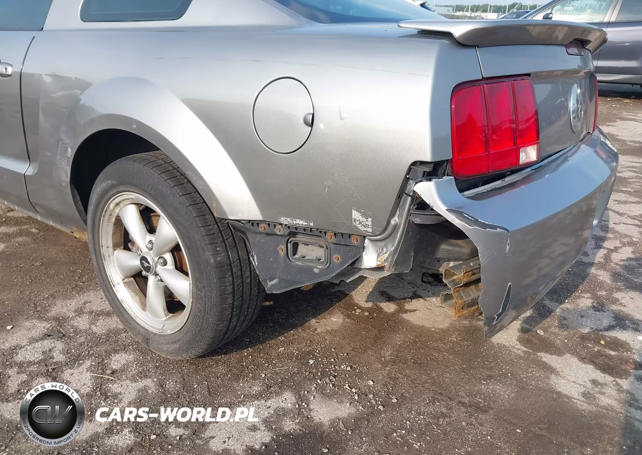 2008 Ford Mustang V6 Deluxe-V6 Premium VIN:1ZVHT80N885120628 - 19
