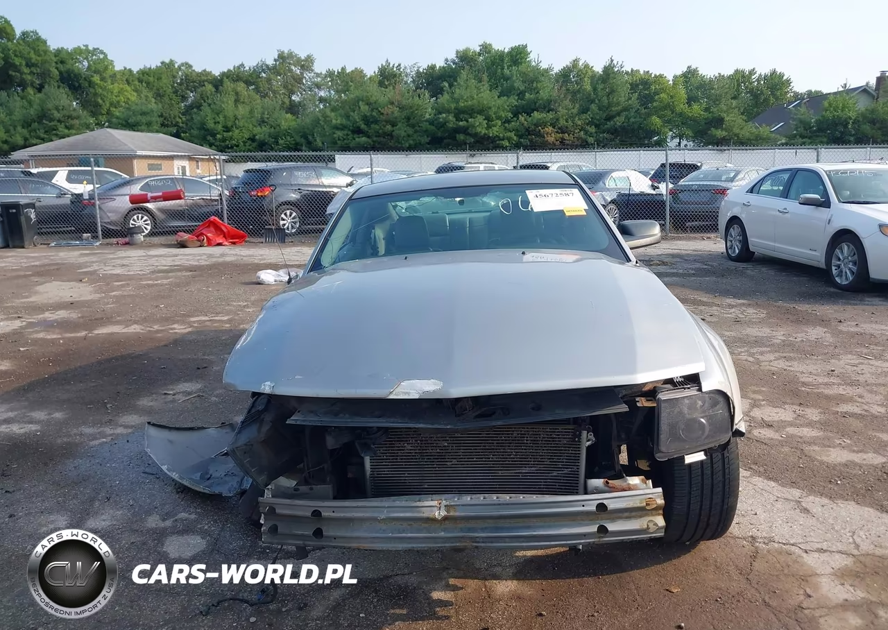 2008 Ford Mustang V6 Deluxe-V6 Premium VIN:1ZVHT80N885120628 - 20