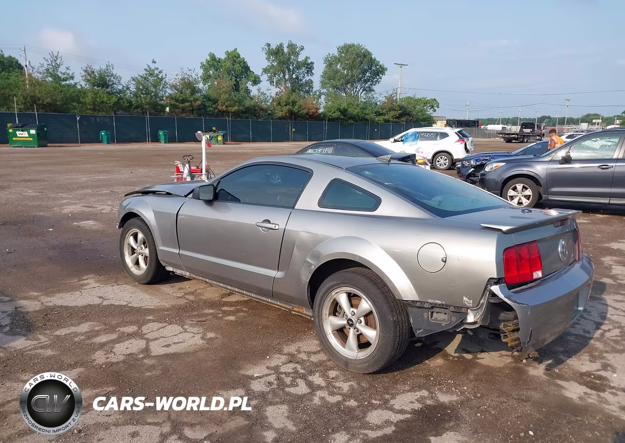 2008 Ford Mustang V6 Deluxe-V6 Premium VIN:1ZVHT80N885120628 - 3