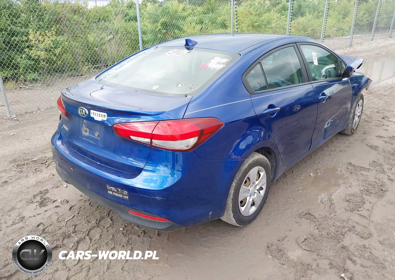 2018 Kia Forte Lx VIN:3KPFK4A71JE167614 - 4