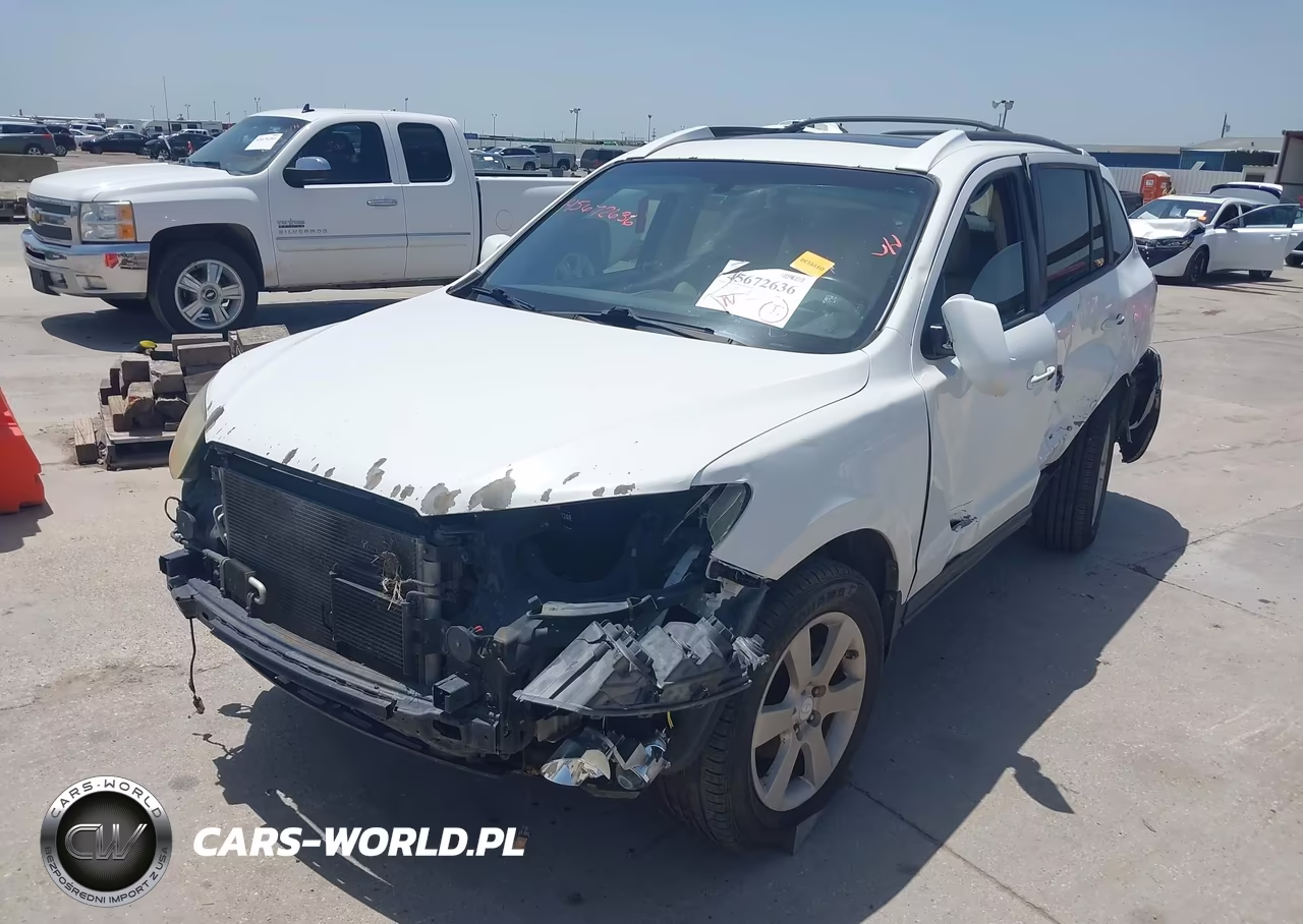 2009 Hyundai Santa Fe Limited VIN:5NMSH13E69H265498 - 2