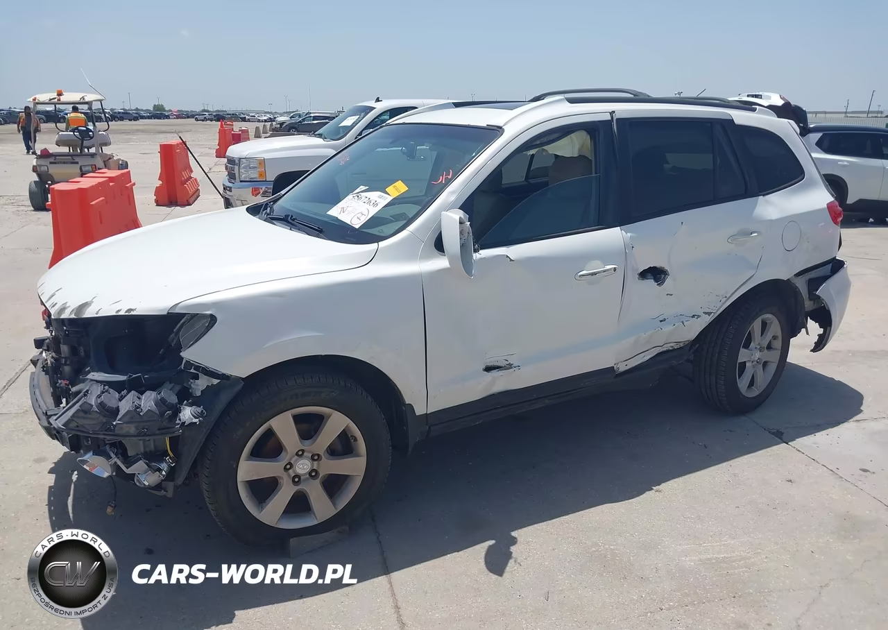 2009 Hyundai Santa Fe Limited VIN:5NMSH13E69H265498 - 6