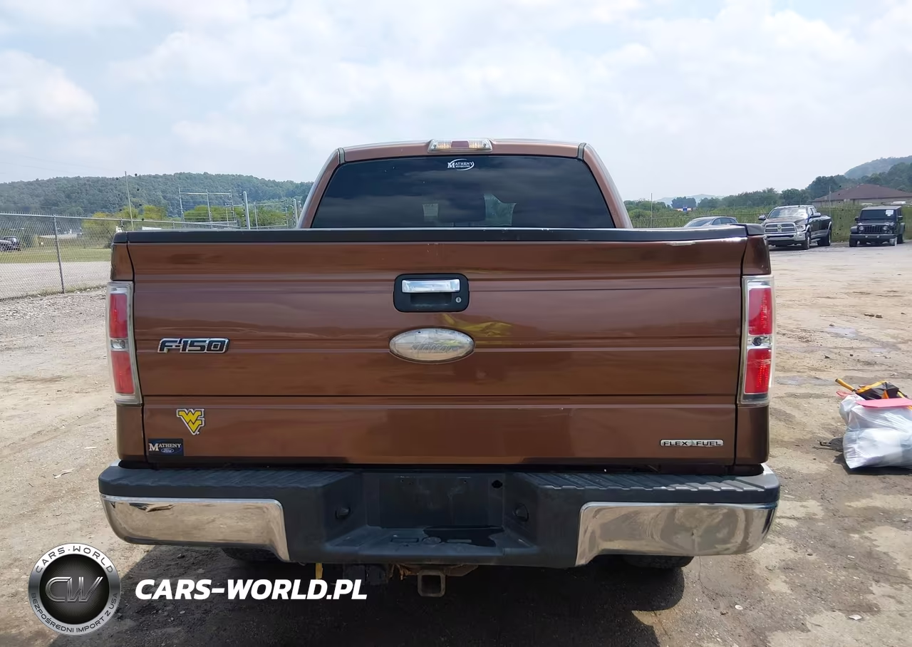 2012 Ford F-150 Xlt VIN:1FTFW1EF5CFA94194 - 17