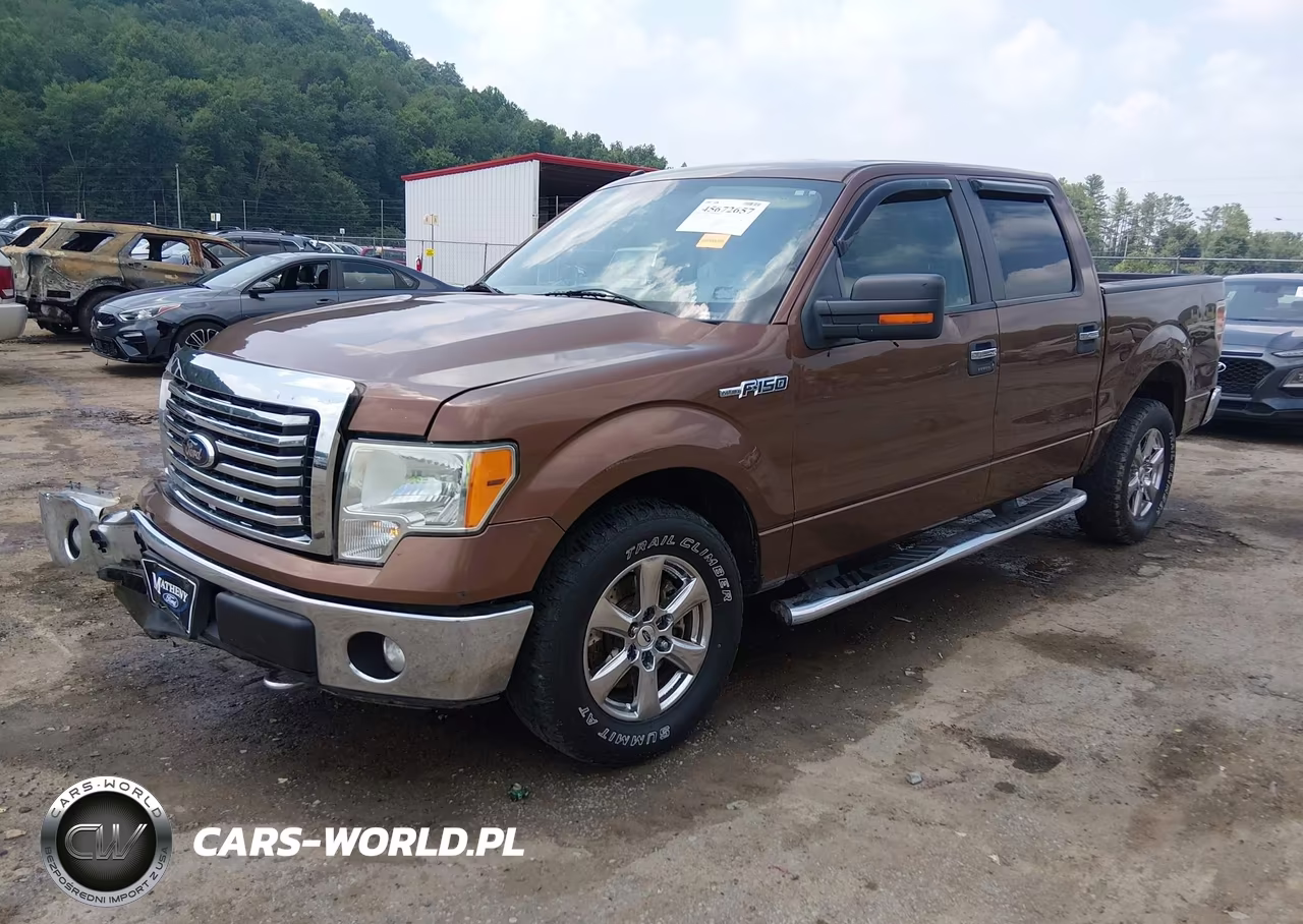 2012 Ford F-150 Xlt VIN:1FTFW1EF5CFA94194 - 2