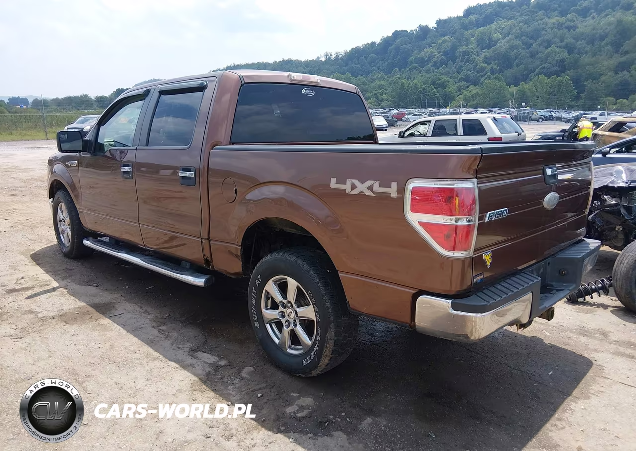 2012 Ford F-150 Xlt VIN:1FTFW1EF5CFA94194 - 3