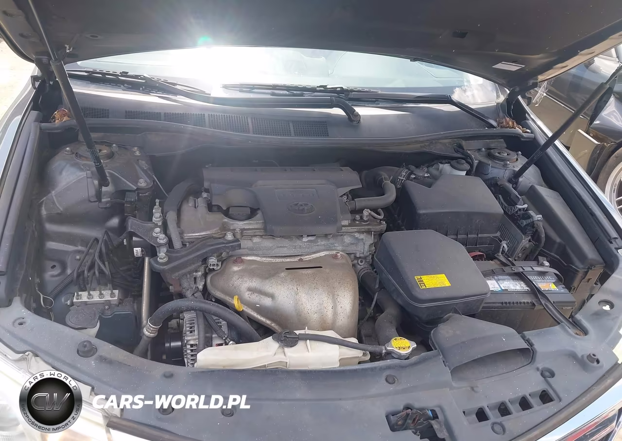 2012 Toyota Camry Xle VIN:4T1BF1FK9CU518929 - 10