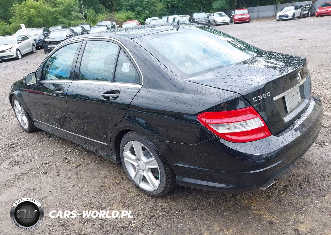 2010 Mercedes-Benz C 300 Luxury 4Matic-Sport 4Matic VIN:WDDGF8BB7AR111187 - 3