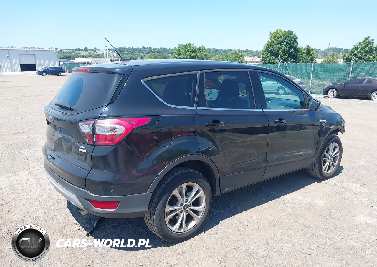 2017 Ford Escape Se VIN:1FMCU0GD8HUE00415 - 4