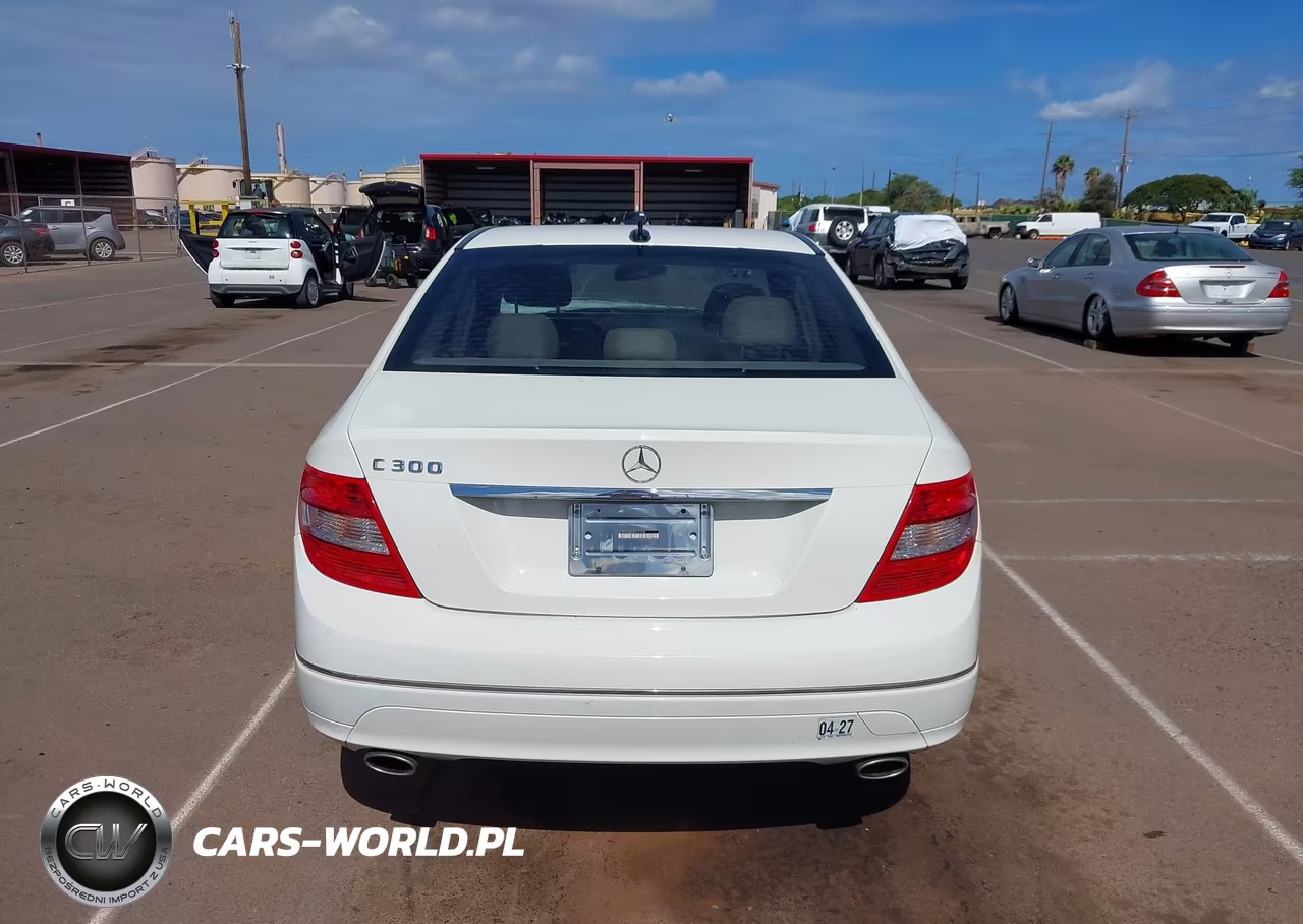 2010 Mercedes-Benz C 300 Luxury VIN:WDDGF5EB0AR131209 - 16