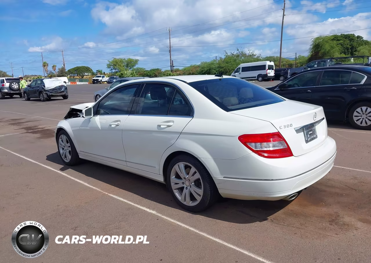 2010 Mercedes-Benz C 300 Luxury VIN:WDDGF5EB0AR131209 - 3