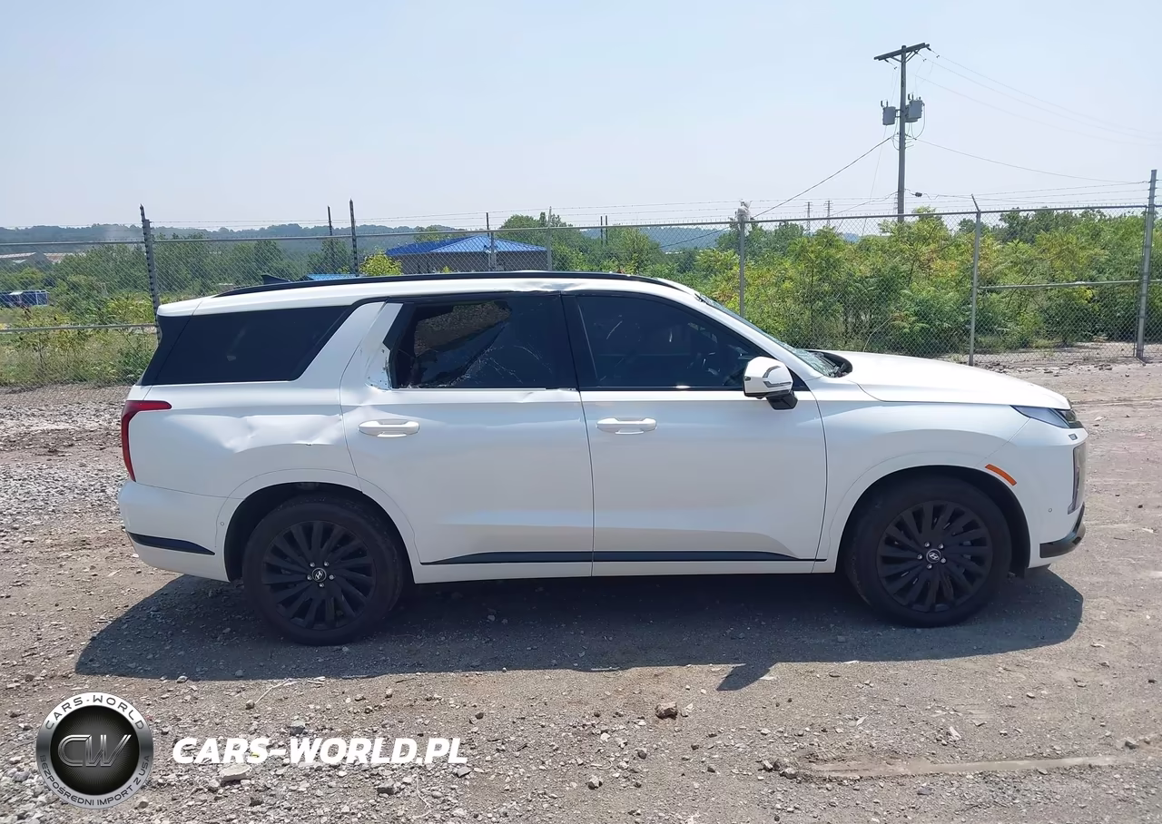 2025 Hyundai Palisade Calligraphy Night Edition VIN:KM8R7DGE3SU842740 - 13