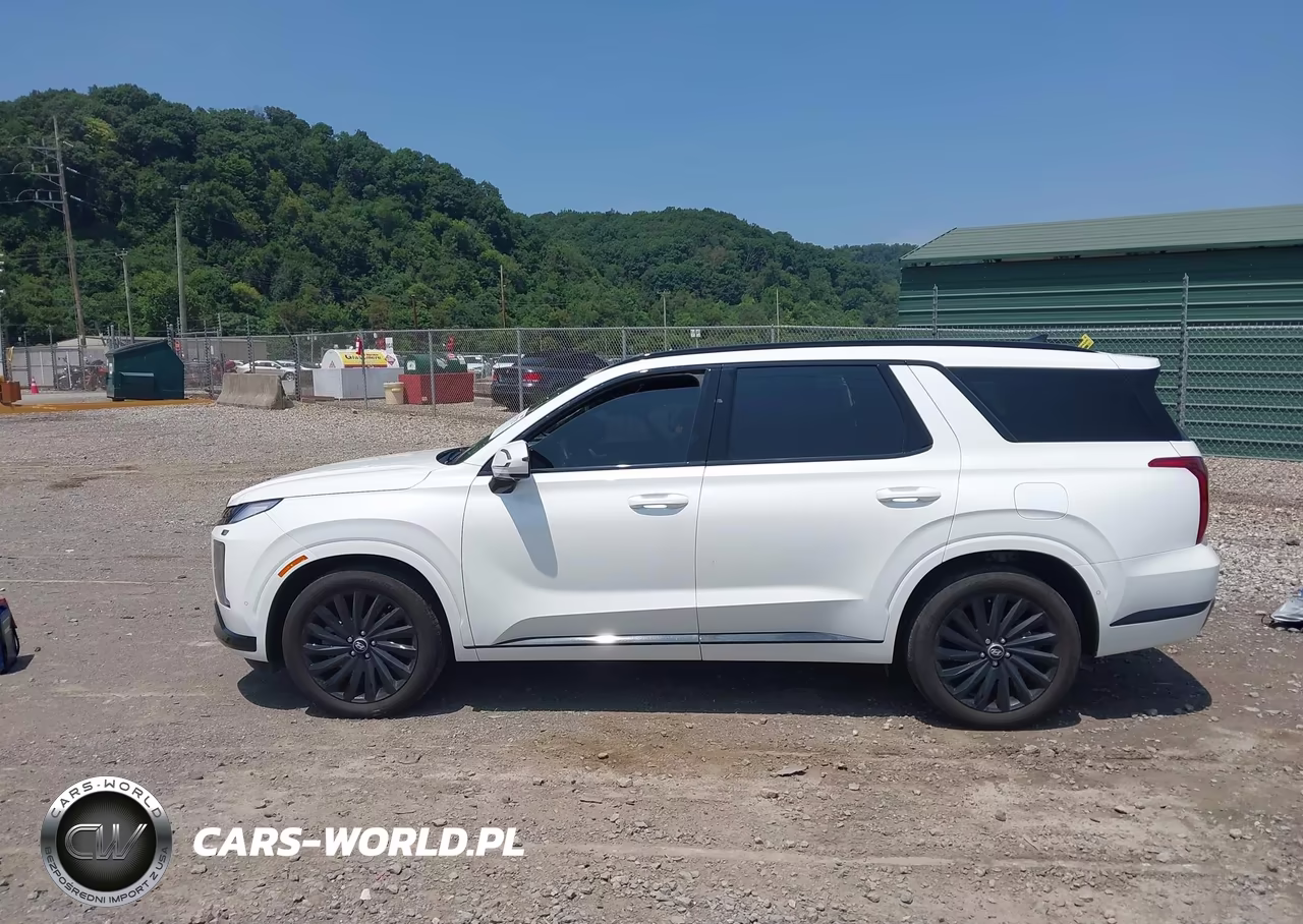 2025 Hyundai Palisade Calligraphy Night Edition VIN:KM8R7DGE3SU842740 - 14