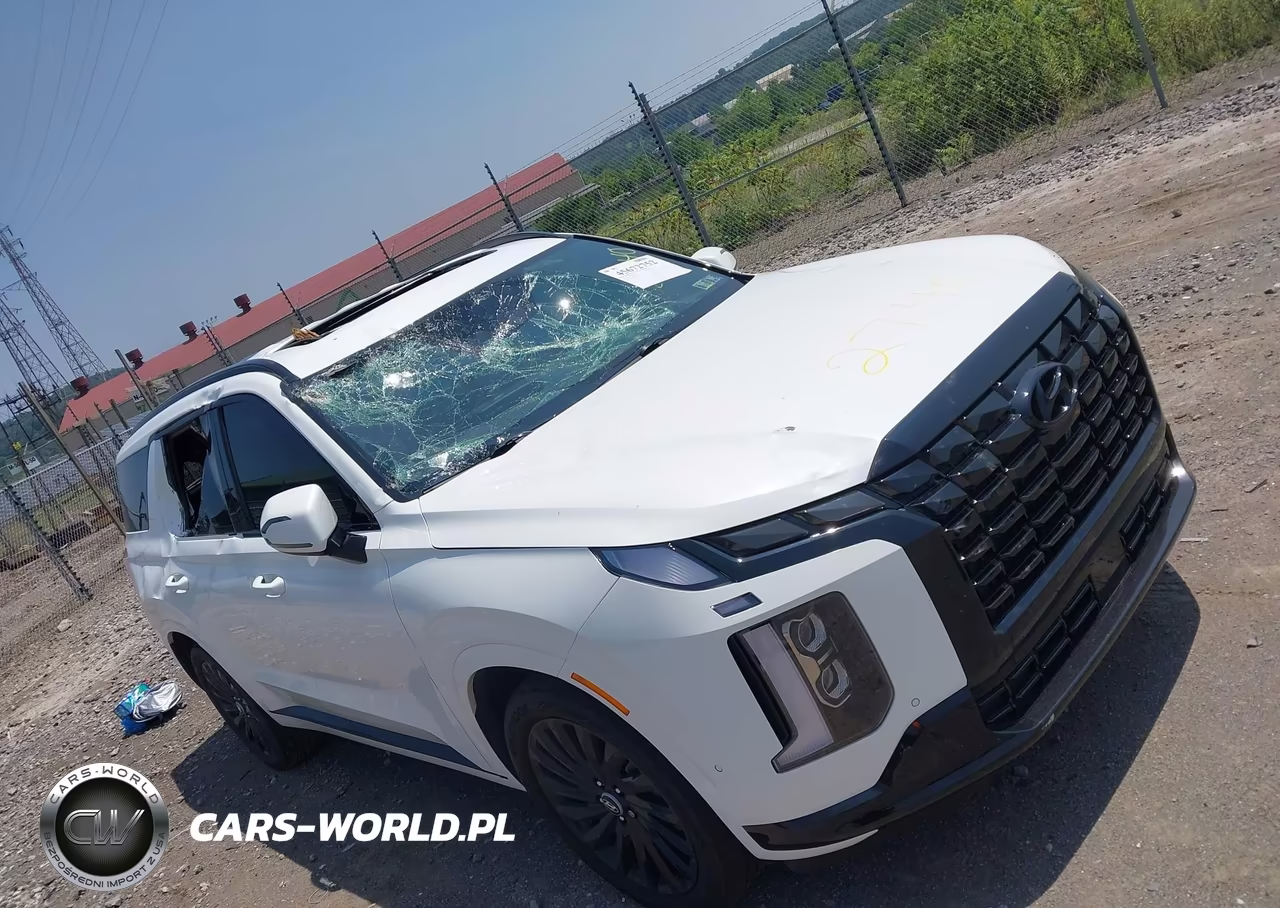 2025 Hyundai Palisade Calligraphy Night Edition VIN:KM8R7DGE3SU842740 - 17