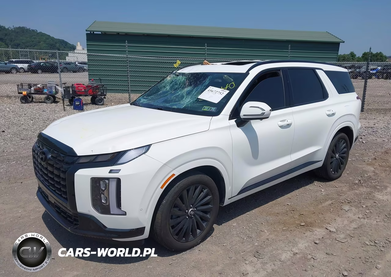 2025 Hyundai Palisade Calligraphy Night Edition VIN:KM8R7DGE3SU842740 - 2