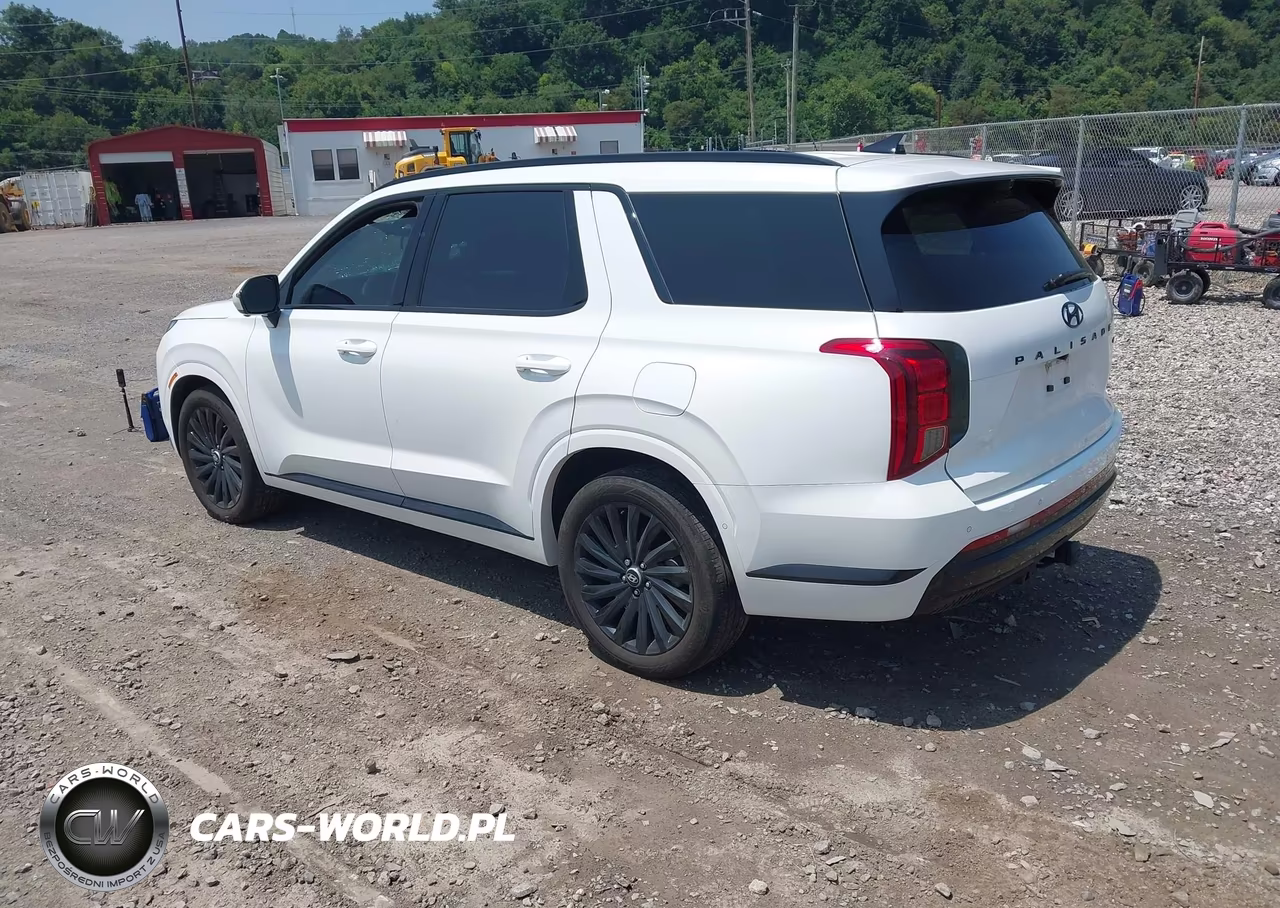 2025 Hyundai Palisade Calligraphy Night Edition VIN:KM8R7DGE3SU842740 - 3