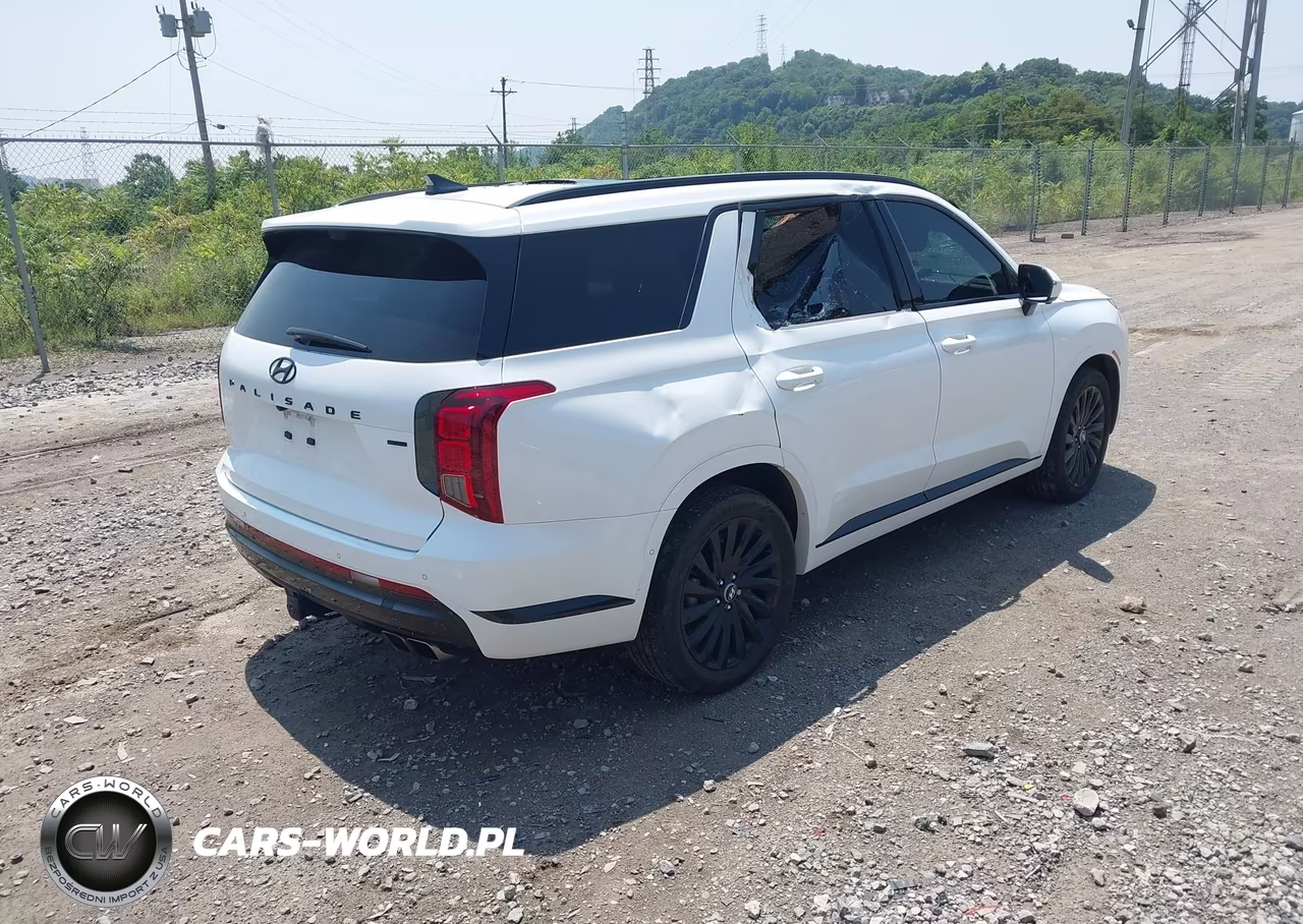 2025 Hyundai Palisade Calligraphy Night Edition VIN:KM8R7DGE3SU842740 - 4