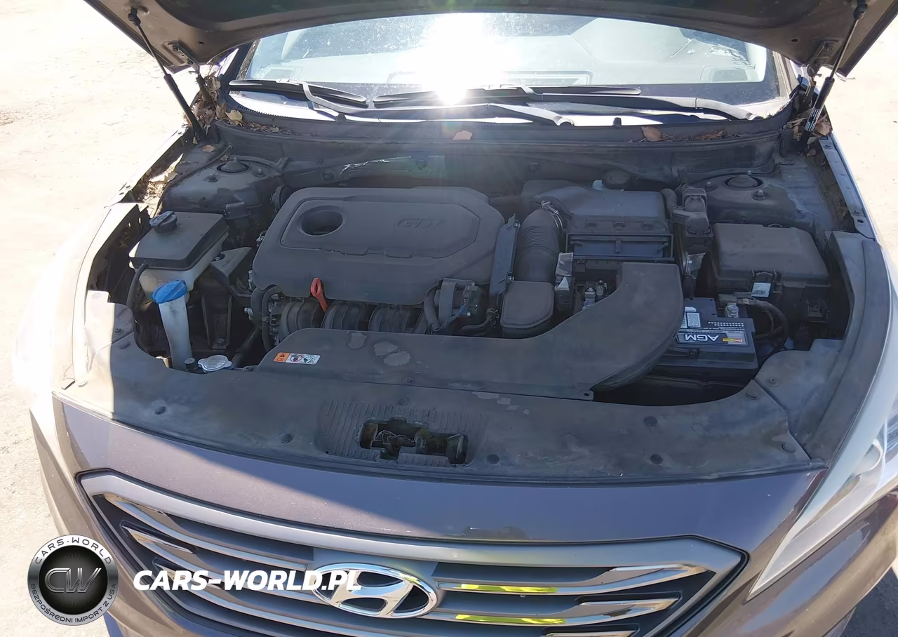 2016 Hyundai Sonata Sport VIN:5NPE34AF9GH424331 - 10