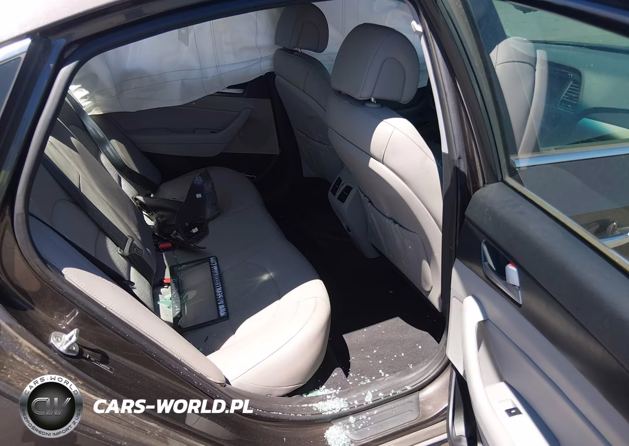 2016 Hyundai Sonata Sport VIN:5NPE34AF9GH424331 - 8