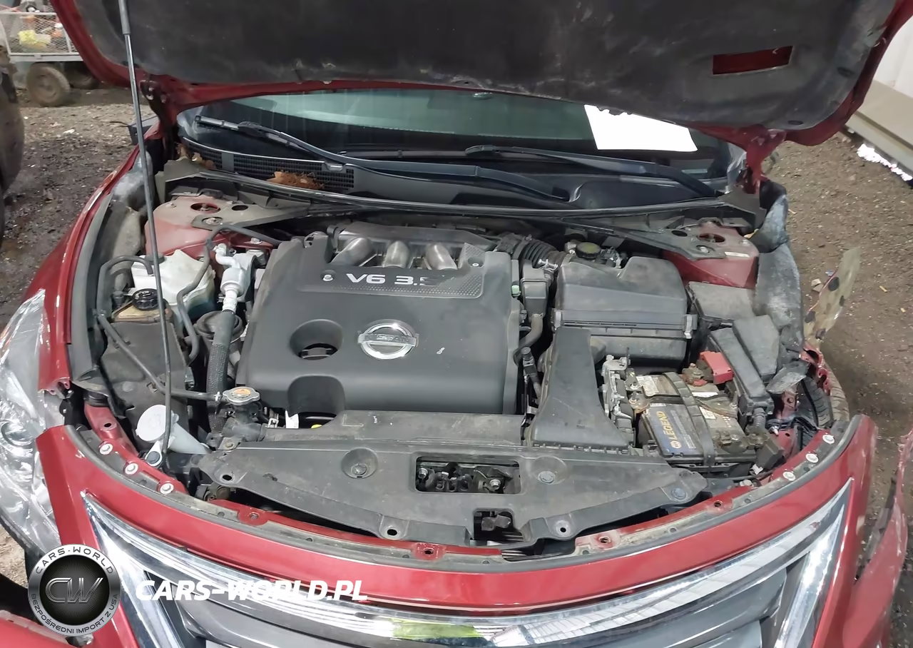 2014 Nissan Altima 3.5 Sl VIN:1N4BL3AP0EN209803 - 10