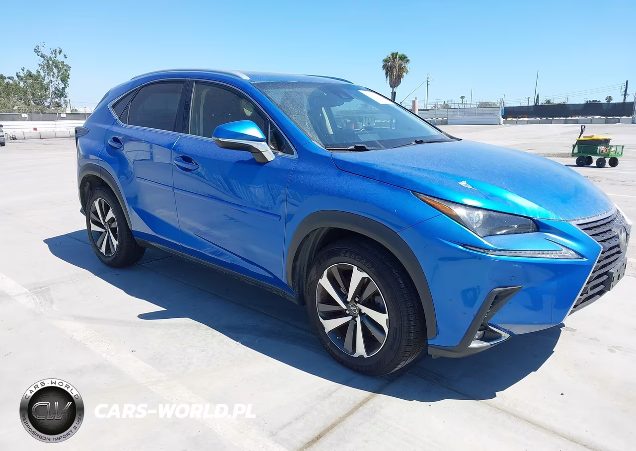 2018 Lexus Nx 300 – zdjęcie 1 z 16
