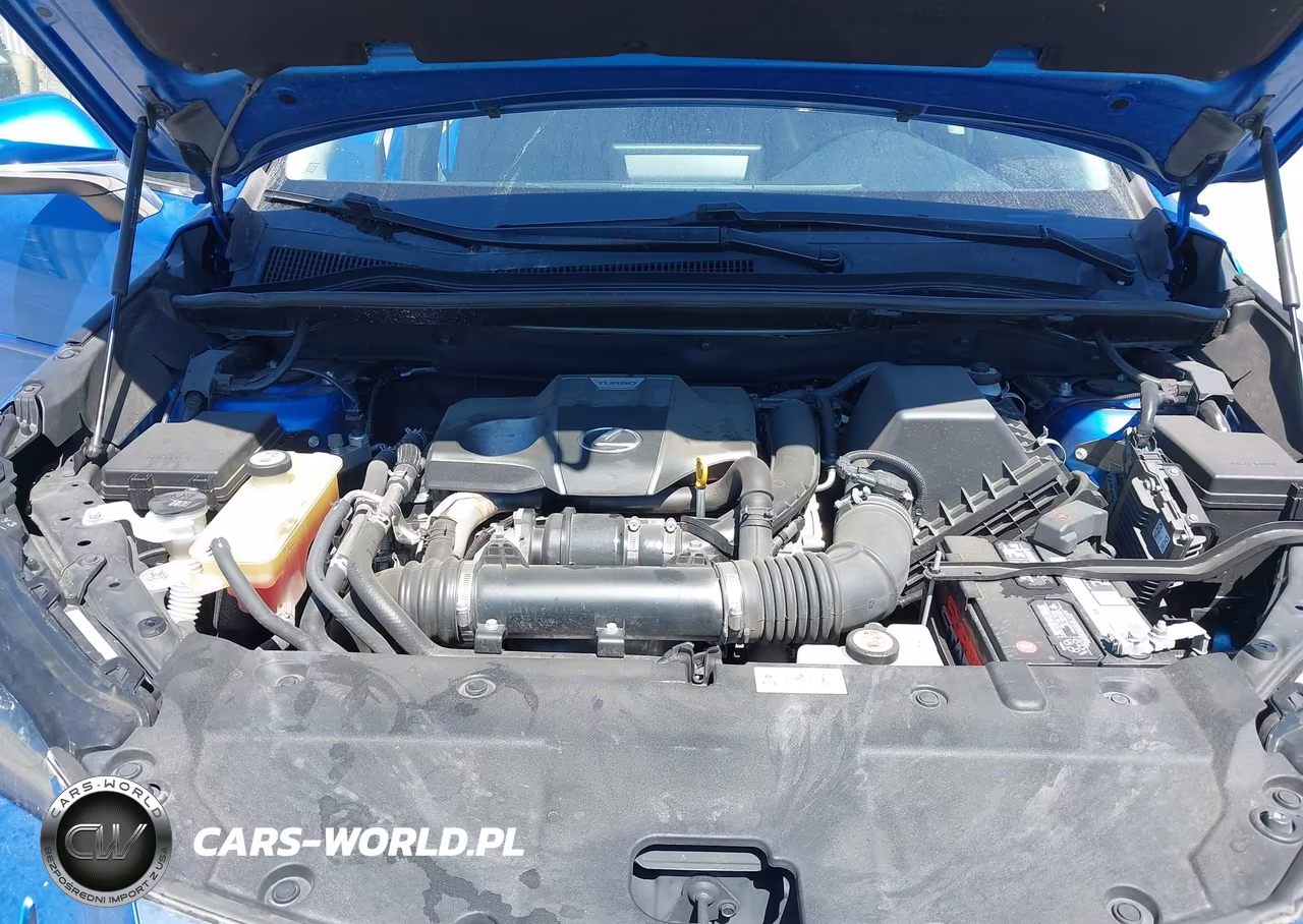 2018 Lexus Nx 300 VIN:JTJBARBZXJ2170813 - 10