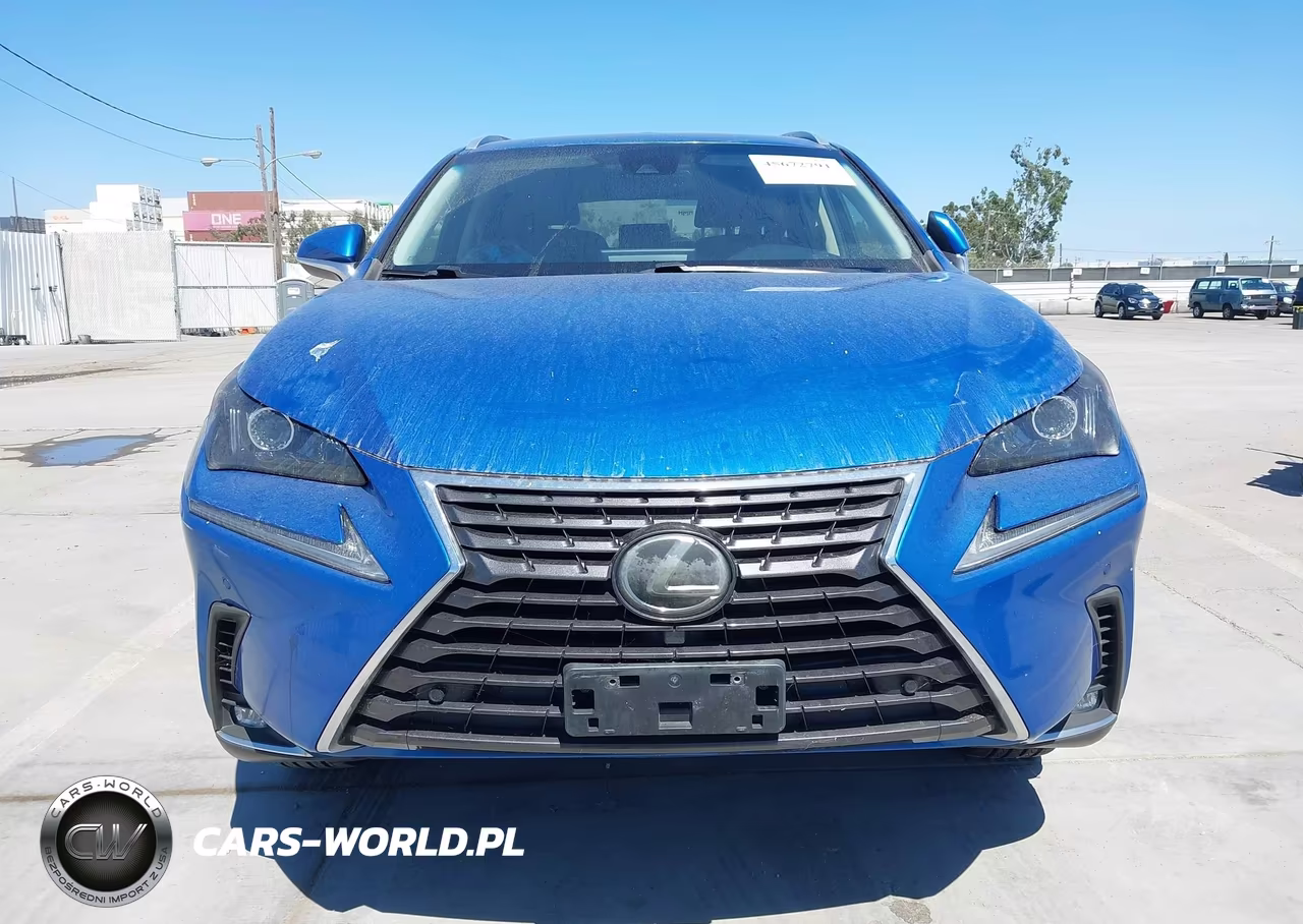 2018 Lexus Nx 300 VIN:JTJBARBZXJ2170813 - 12