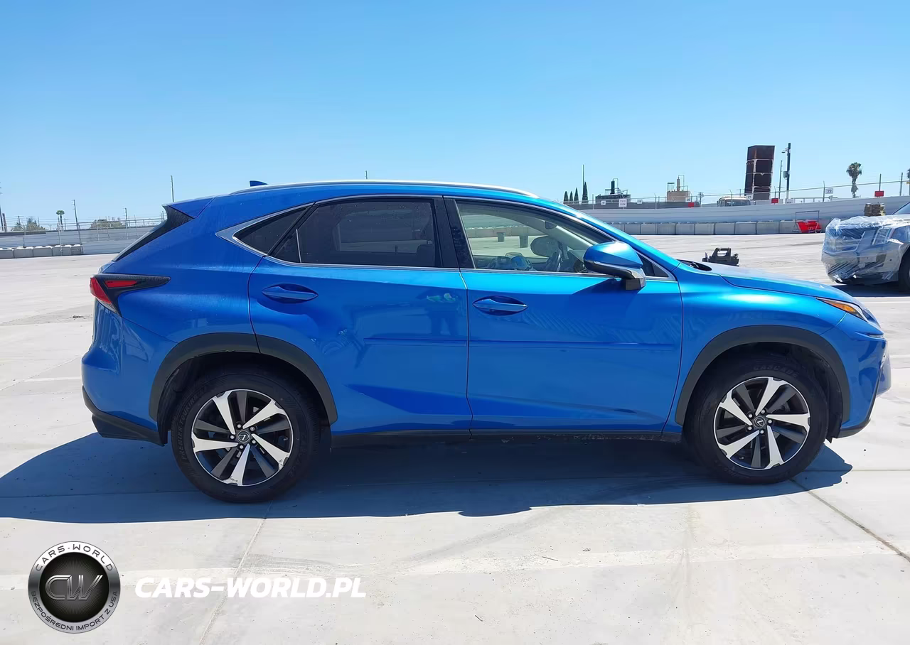 2018 Lexus Nx 300 VIN:JTJBARBZXJ2170813 - 13