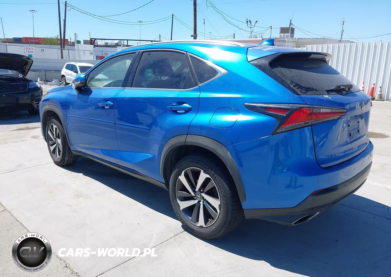 2018 Lexus Nx 300 VIN:JTJBARBZXJ2170813 - 3