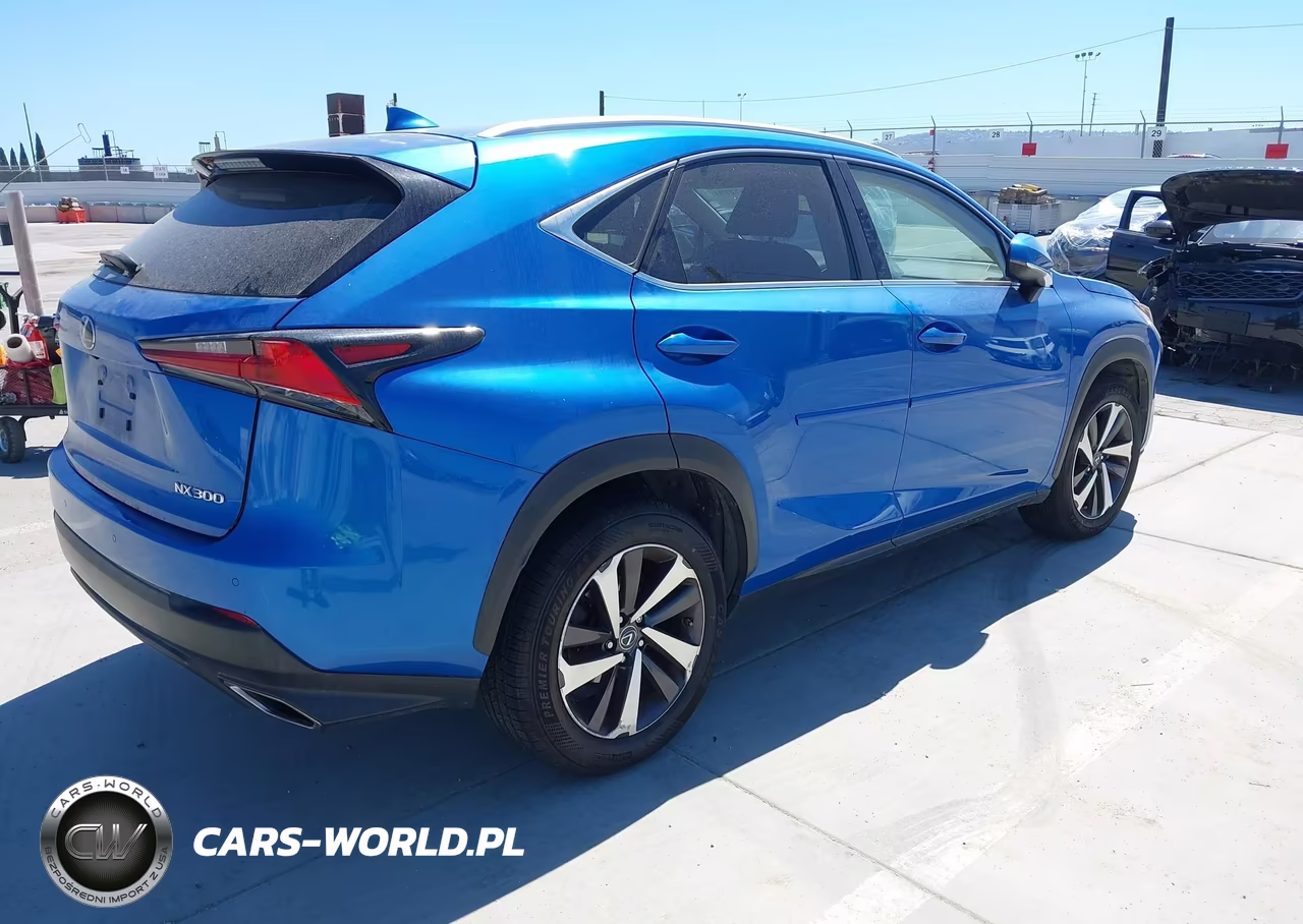 2018 Lexus Nx 300 VIN:JTJBARBZXJ2170813 - 4