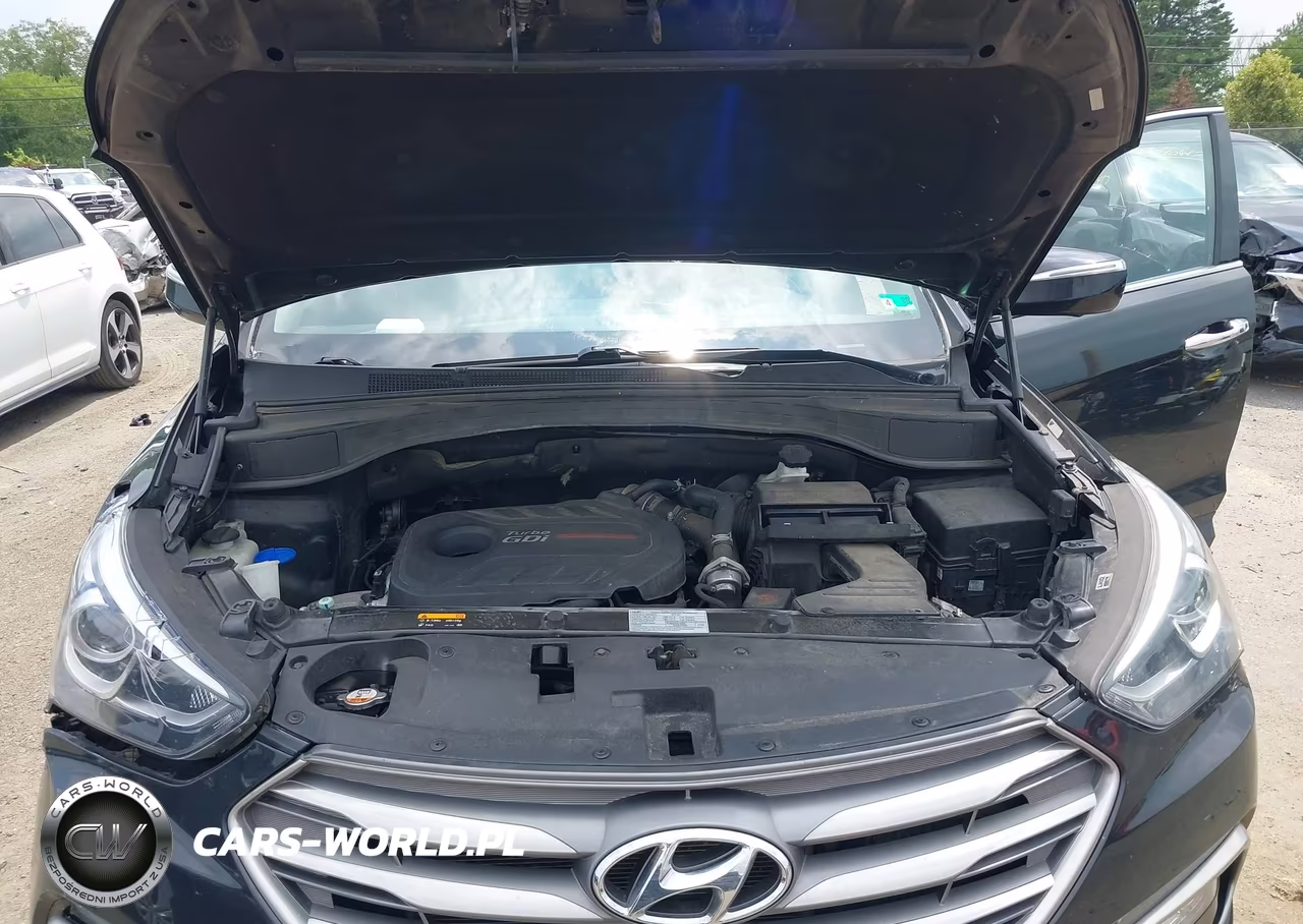 2017 Hyundai Santa Fe Sport 2.0T Ultimate VIN:5XYZWDLA8HG466685 - 10