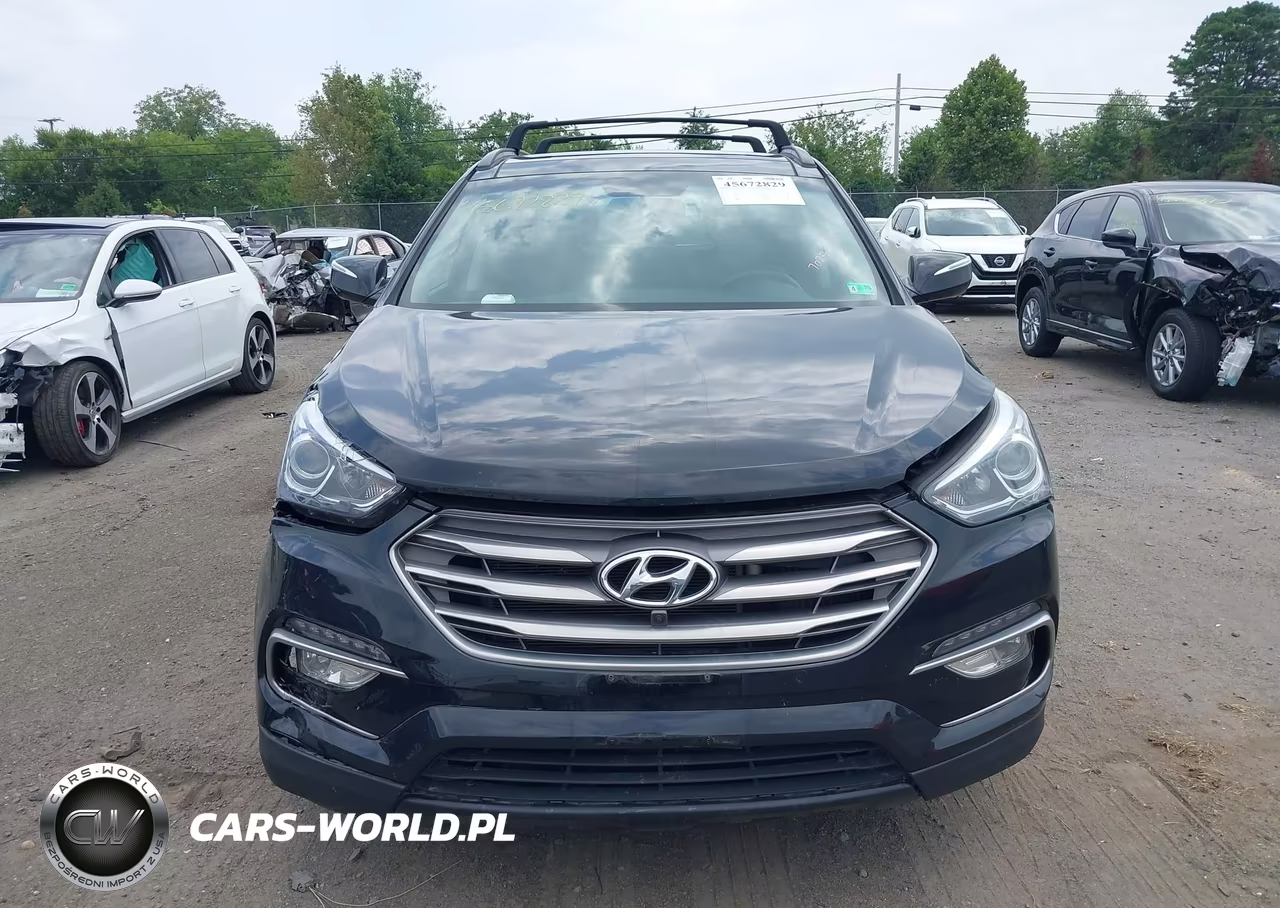 2017 Hyundai Santa Fe Sport 2.0T Ultimate VIN:5XYZWDLA8HG466685 - 12
