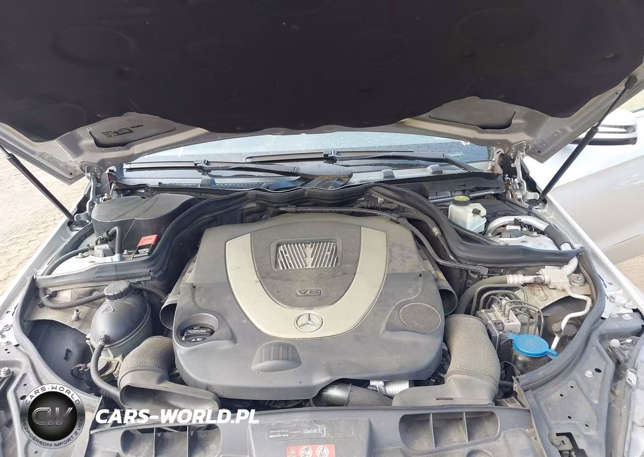 2010 Mercedes-Benz E 550 VIN:WDDKJ7CB0AF034083 - 10