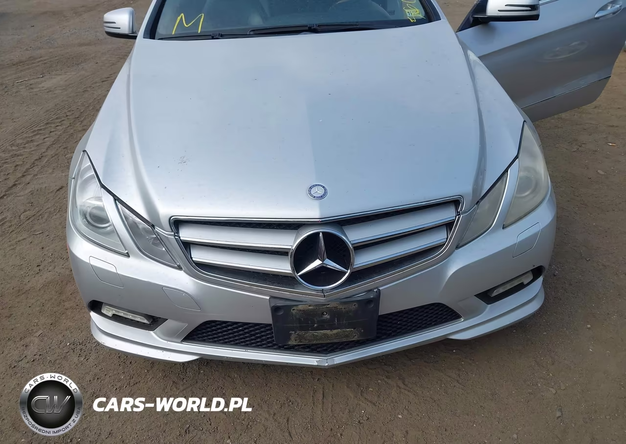 2010 Mercedes-Benz E 550 VIN:WDDKJ7CB0AF034083 - 6