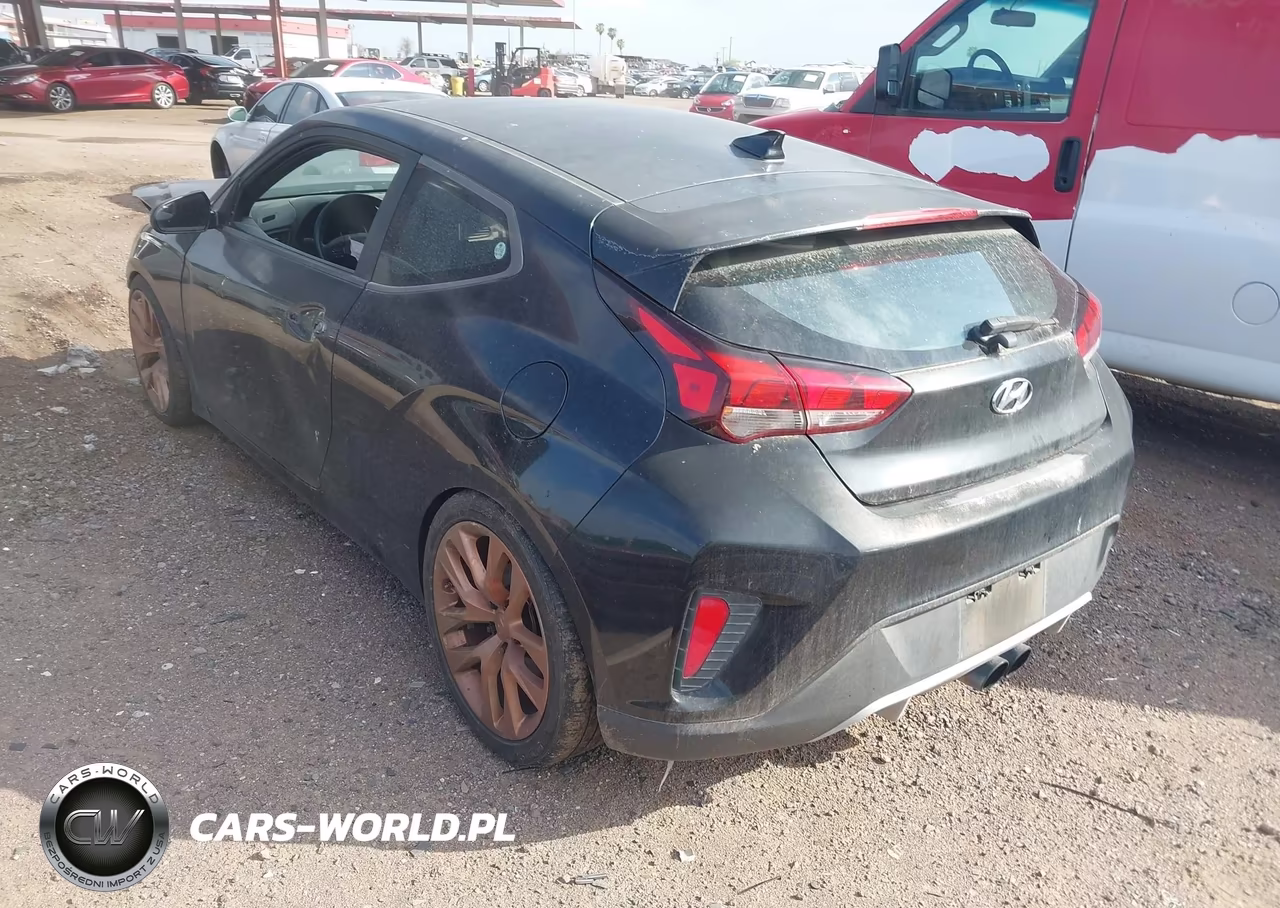 2019 Hyundai Veloster 2.0 VIN:KMHTG6AF3KU010480 - 3