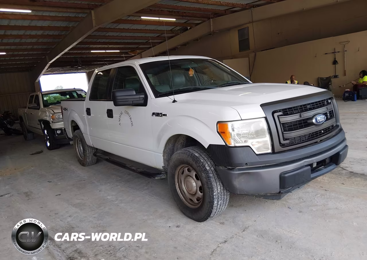 2013 Ford F-150 Xl – zdjęcie 1 z 19