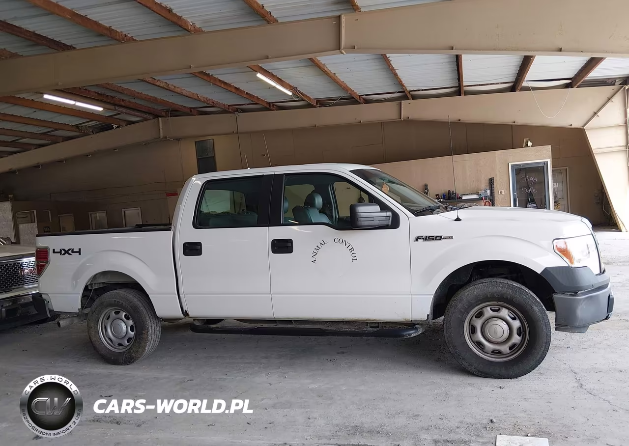 2013 Ford F-150 Xl VIN:1FTFW1EF5DKE83815 - 13