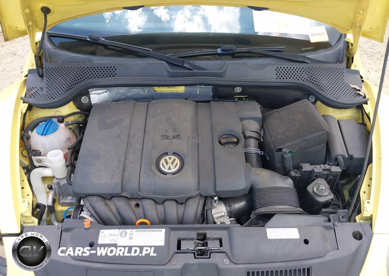 2013 Volkswagen Beetle 2.5L VIN:3VWJP7AT1DM618557 - 10