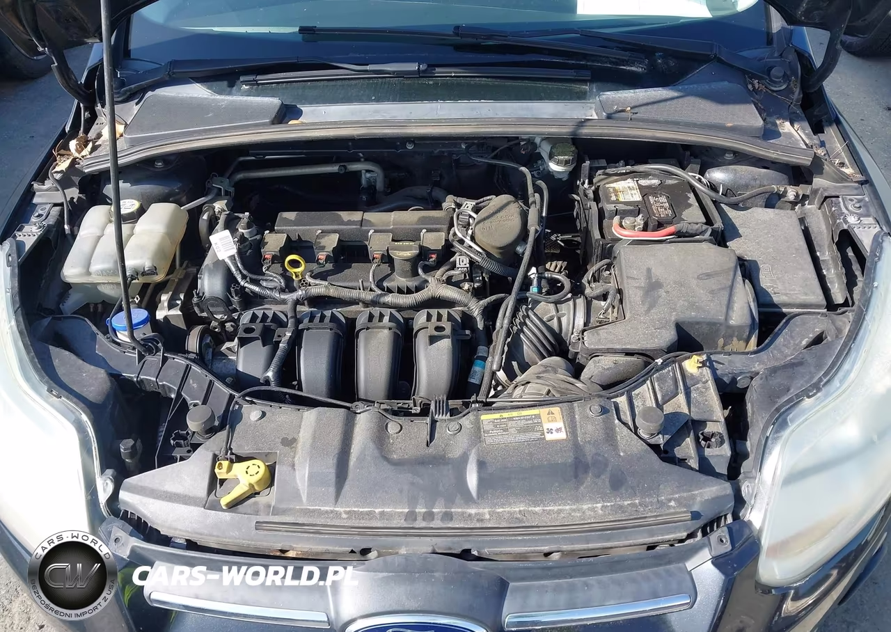 2013 Ford Focus Se VIN:1FADP3K22DL257765 - 10