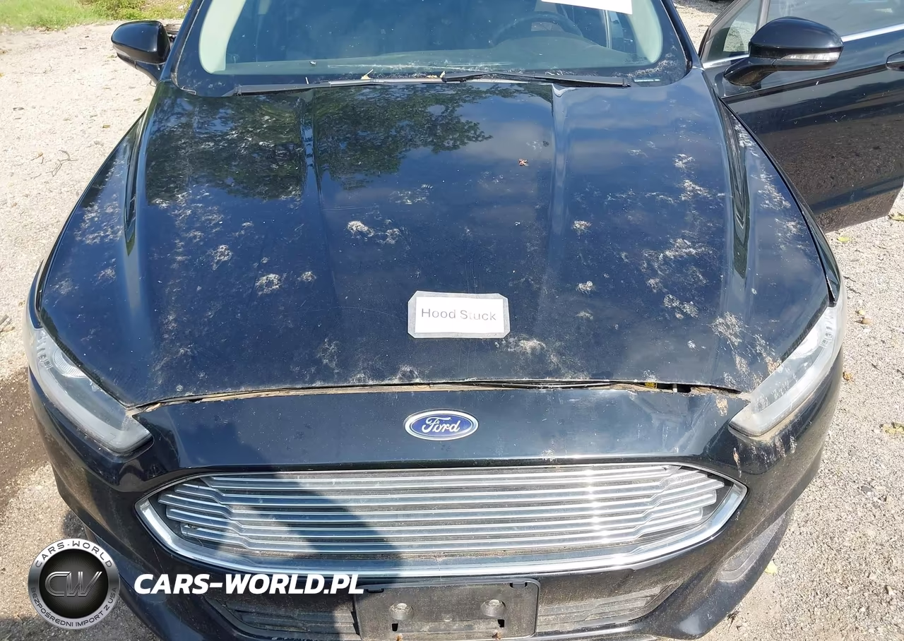 2016 Ford Fusion Se VIN:3FA6P0H71GR147774 - 10