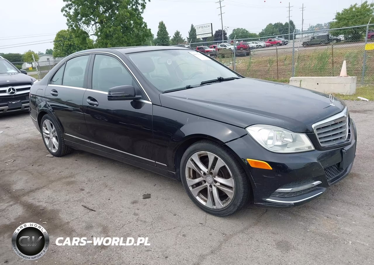 2013 Mercedes-Benz C 300 Luxury 4Matic VIN:WDDGF8AB7DR256784 - 1