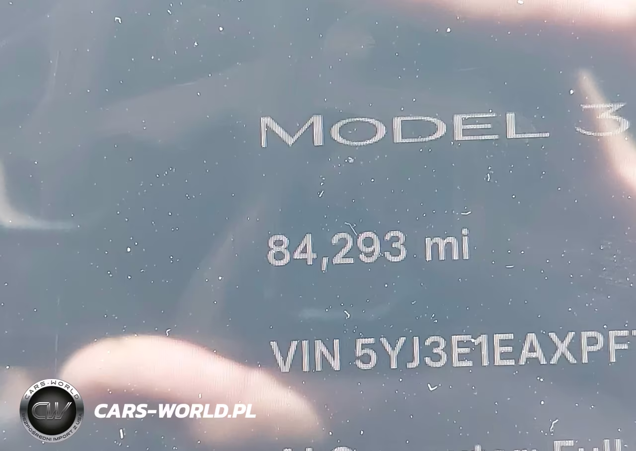 2023 Tesla Model 3 Rear-Wheel Drive VIN:5YJ3E1EAXPF702246 - 13