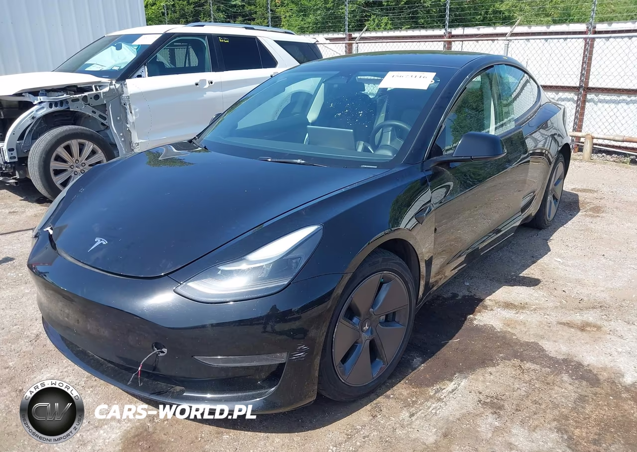 2023 Tesla Model 3 Rear-Wheel Drive VIN:5YJ3E1EAXPF702246 - 2