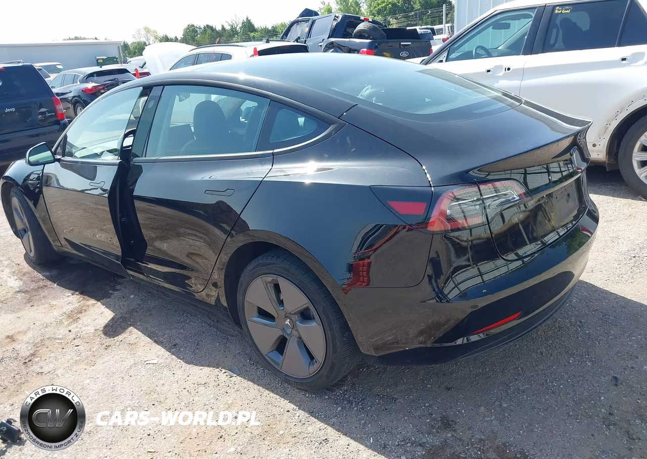 2023 Tesla Model 3 Rear-Wheel Drive VIN:5YJ3E1EAXPF702246 - 3