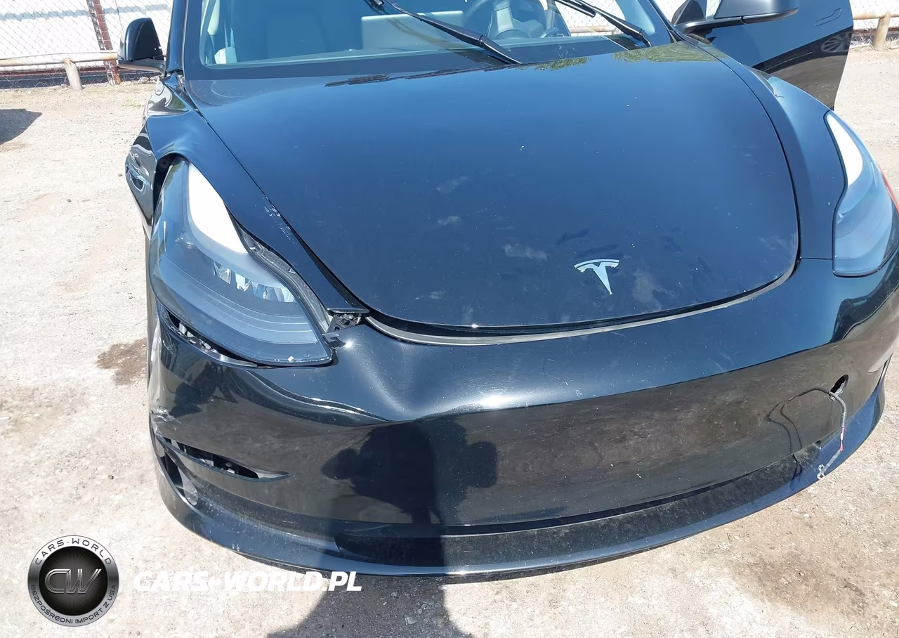 2023 Tesla Model 3 Rear-Wheel Drive VIN:5YJ3E1EAXPF702246 - 6