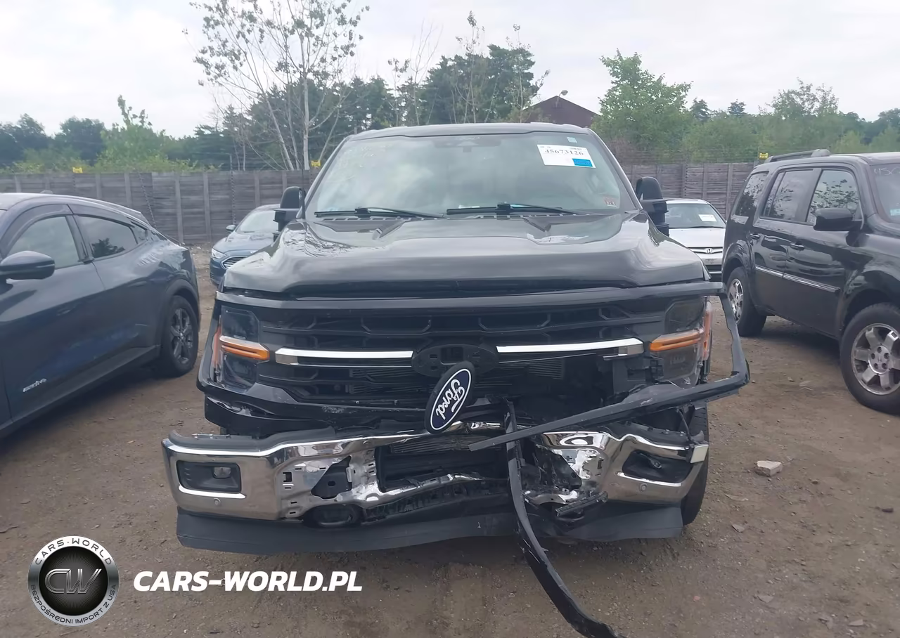 2024 Ford F-150 Xlt VIN:1FTFW3L89RFA33875 - 12