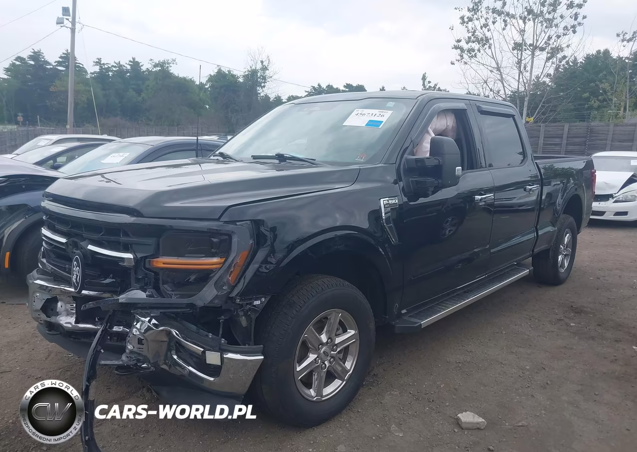 2024 Ford F-150 Xlt VIN:1FTFW3L89RFA33875 - 2