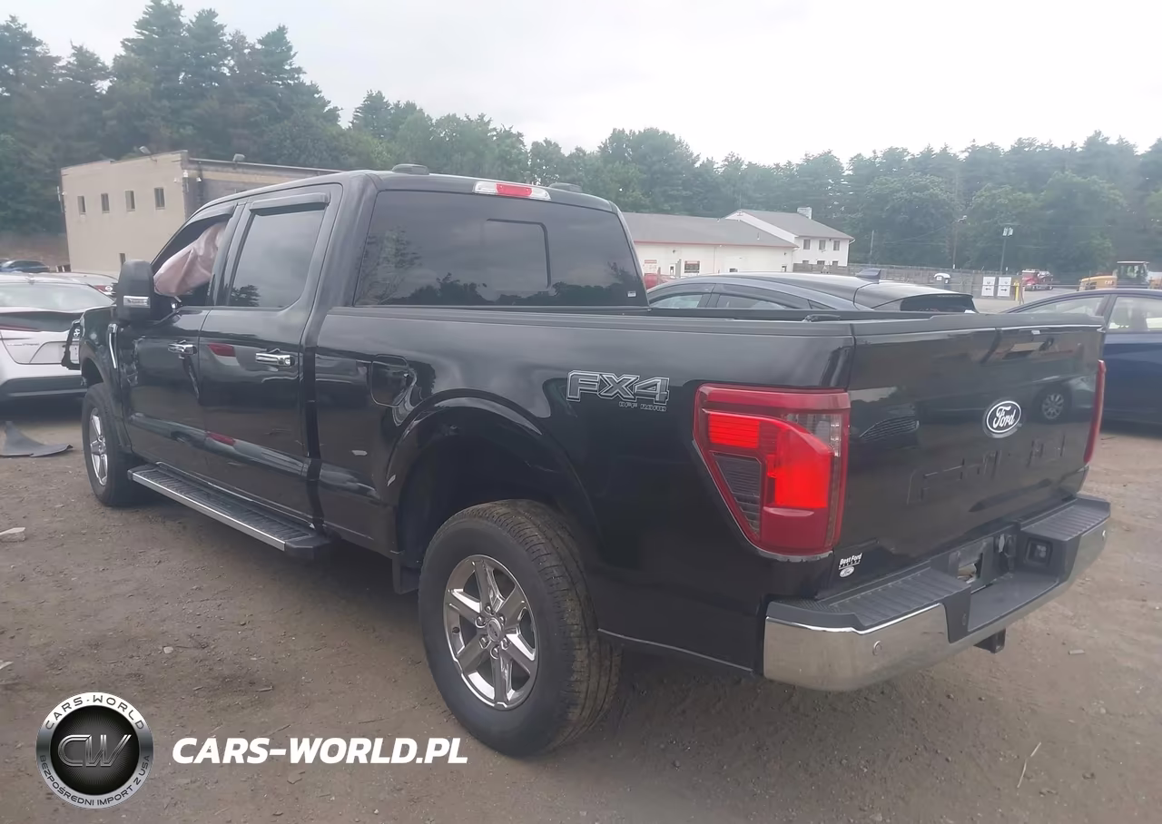 2024 Ford F-150 Xlt VIN:1FTFW3L89RFA33875 - 3
