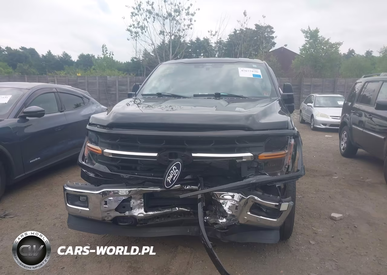 2024 Ford F-150 Xlt VIN:1FTFW3L89RFA33875 - 6
